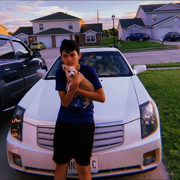 Meet your Posher, Bryant - Picture 1 of 1